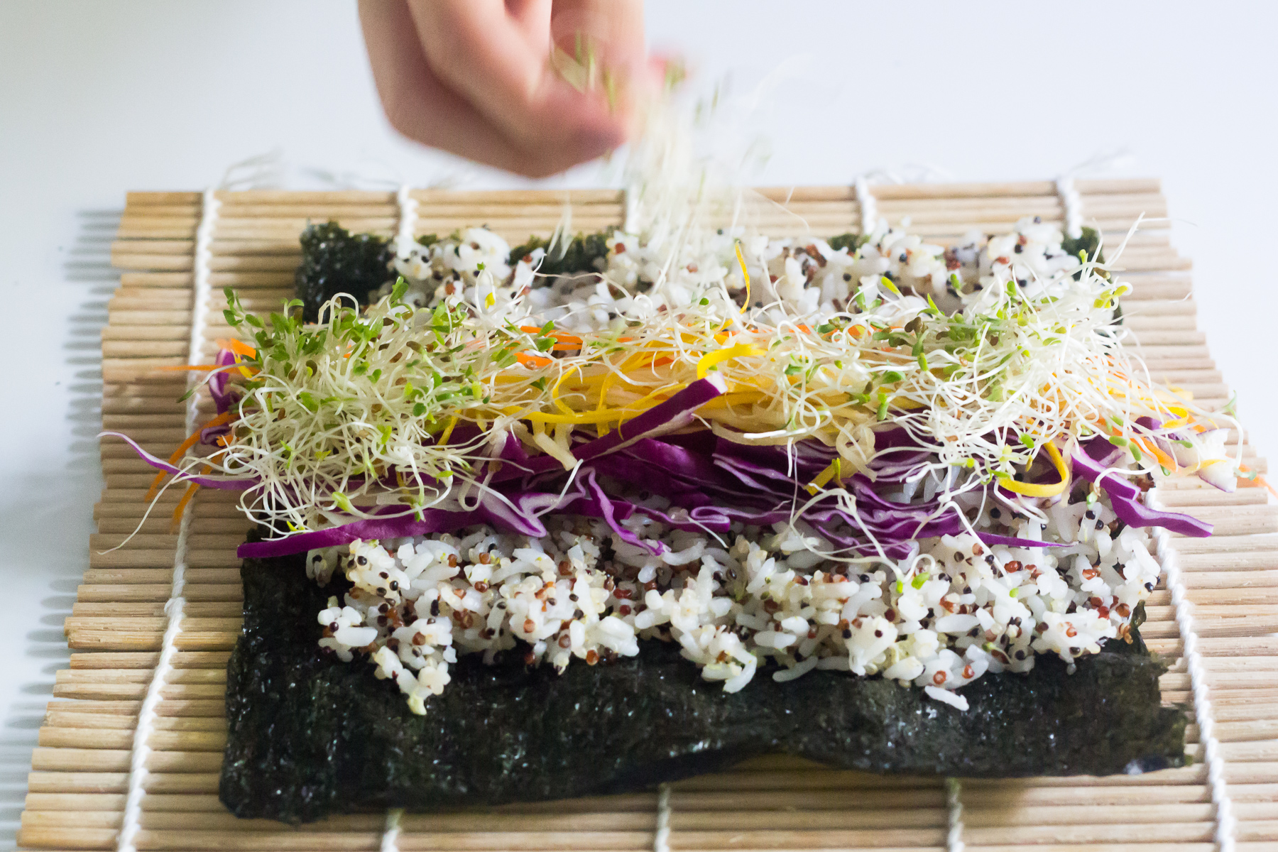 Rainbow Quinoa Sushi Rolls with Wasabi Mayo LePlainCanvas