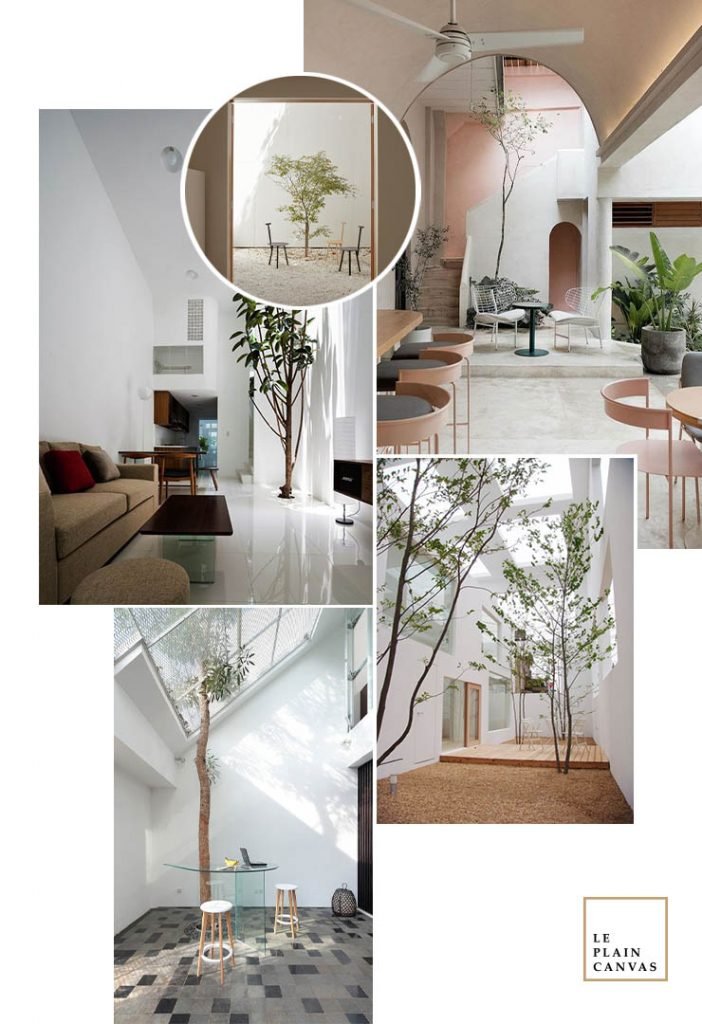 Cmood Tree Moodboard | Trees in Home – LePlainCanvas