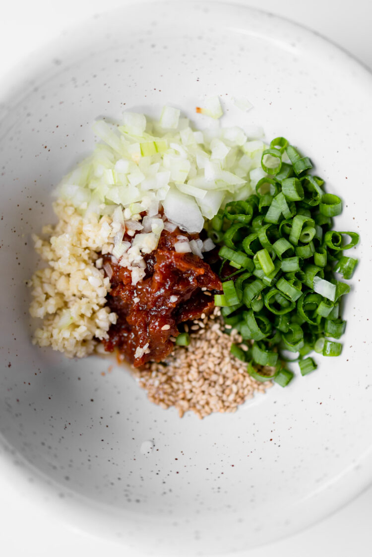 Ssamjang(Korean spicy dipping sauce) – LePlainCanvas