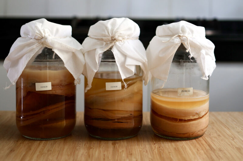 How to make your own Kombucha Scoby